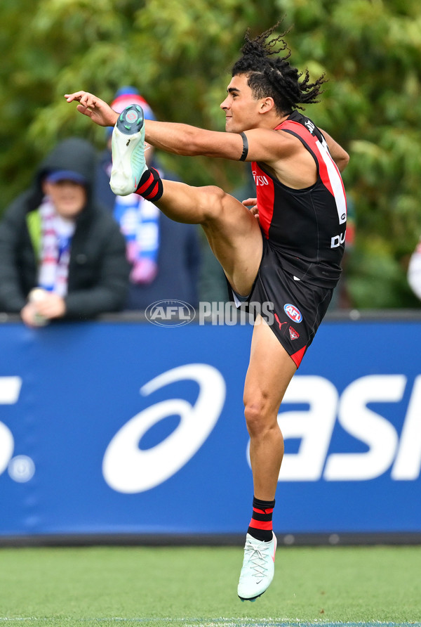 AFL 2025 Match Simulation - Western Bulldogs v Essendon - A-57470180