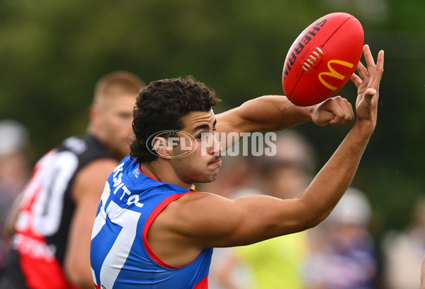 AFL 2025 Match Simulation - Western Bulldogs v Essendon - A-57470186