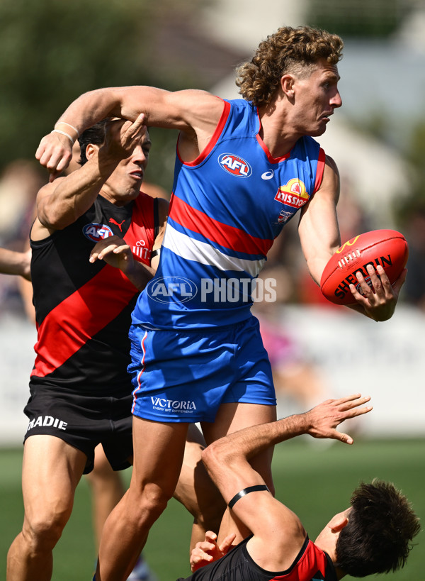 AFL 2025 Match Simulation - Western Bulldogs v Essendon - A-57470194