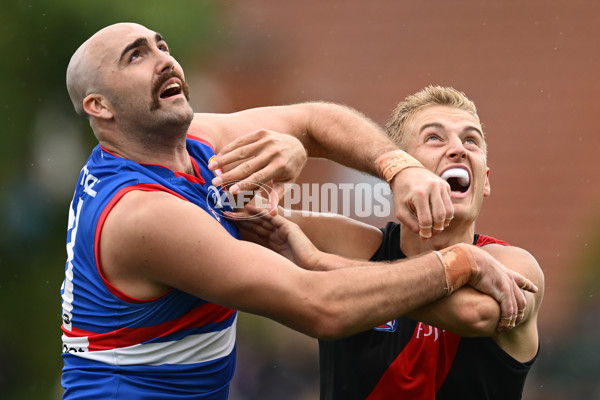 AFL 2025 Match Simulation - Western Bulldogs v Essendon - A-57470197