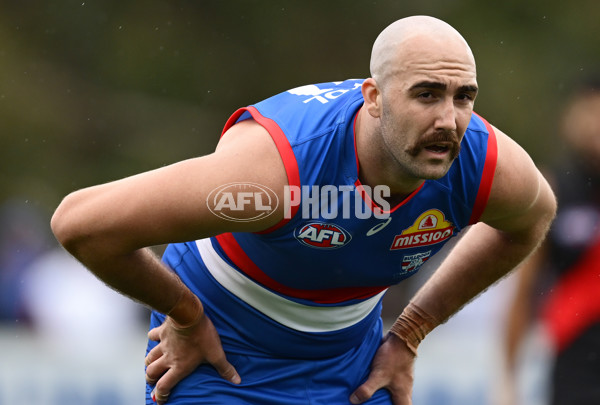 AFL 2025 Match Simulation - Western Bulldogs v Essendon - A-57470202