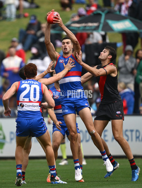 AFL 2025 Match Simulation - Western Bulldogs v Essendon - A-57470204