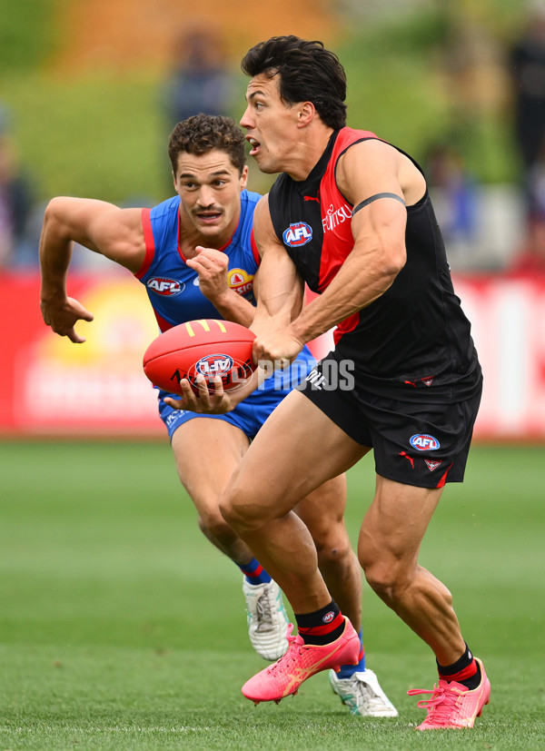 AFL 2025 Match Simulation - Western Bulldogs v Essendon - A-57473139