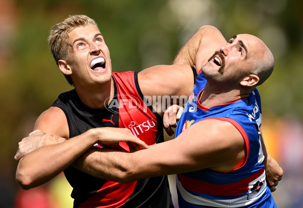 AFL 2025 Match Simulation - Western Bulldogs v Essendon - A-57474965