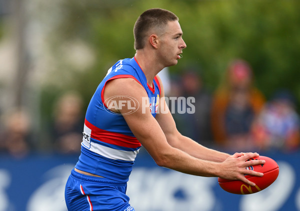 AFL 2025 Match Simulation - Western Bulldogs v Essendon - A-57474966