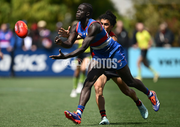 AFL 2025 Match Simulation - Western Bulldogs v Essendon - A-57474980