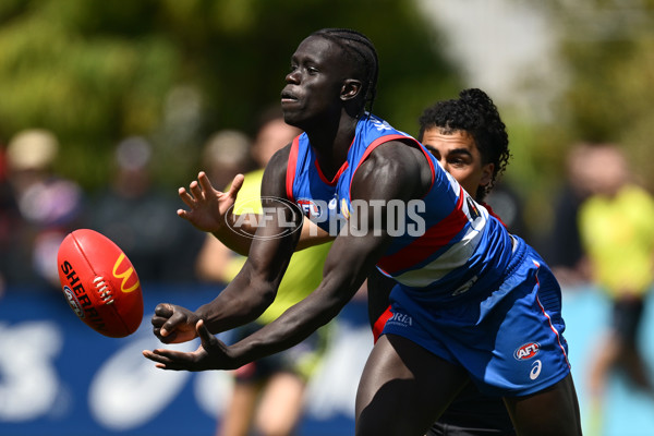 AFL 2025 Match Simulation - Western Bulldogs v Essendon - A-57474981