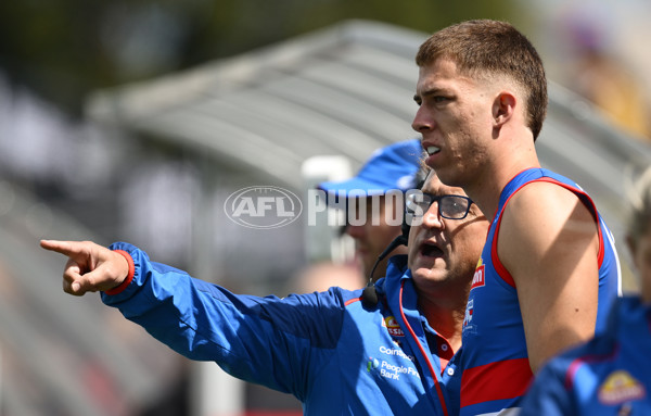 AFL 2025 Match Simulation - Western Bulldogs v Essendon - A-57474985