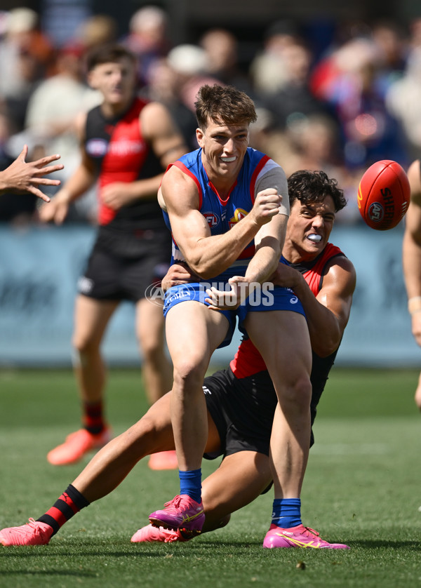 AFL 2025 Match Simulation - Western Bulldogs v Essendon - A-57475381