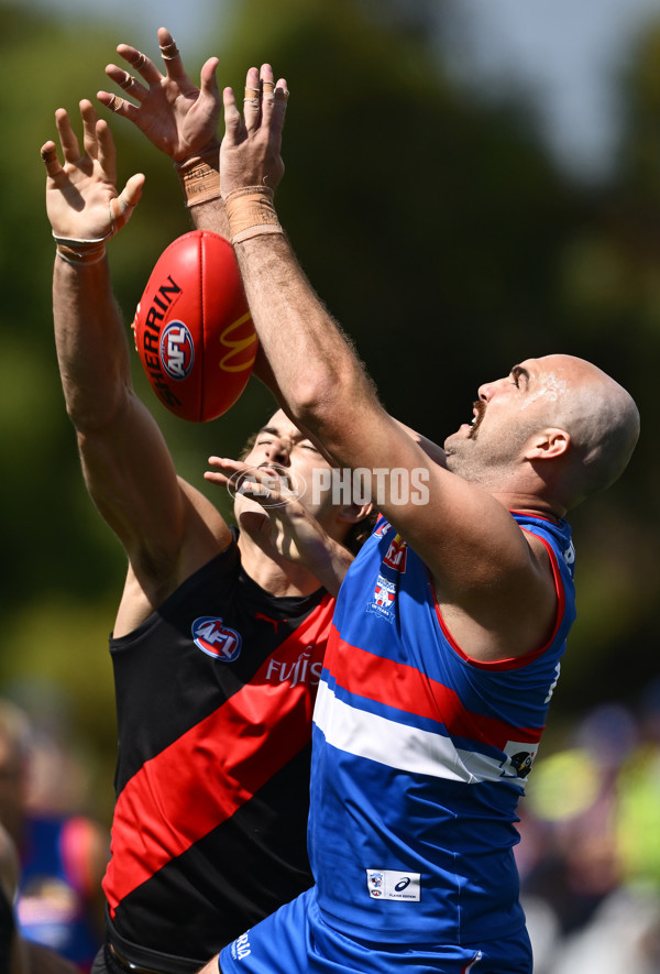 AFL 2025 Match Simulation - Western Bulldogs v Essendon - A-57475392