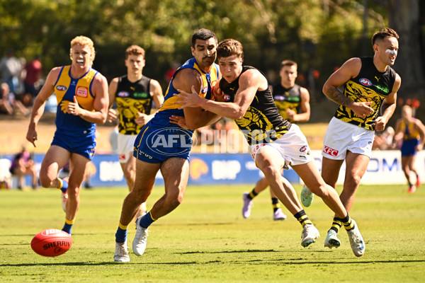 AFL 2025 Match Simulation - West Coast v Richmond - A-57492364