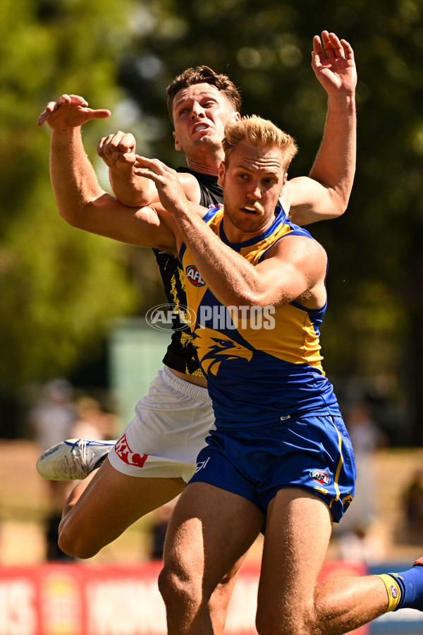 AFL 2025 Match Simulation - West Coast v Richmond - A-57492365