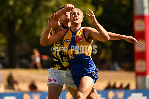 AFL 2025 Match Simulation - West Coast v Richmond - A-57492369