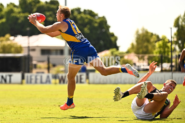 AFL 2025 Match Simulation - West Coast v Richmond - A-57492403