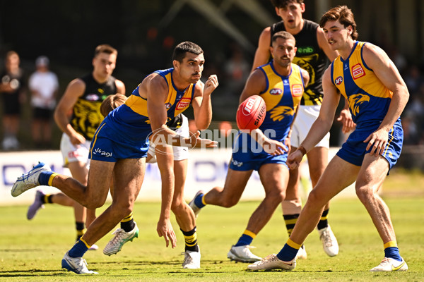 AFL 2025 Match Simulation - West Coast v Richmond - A-57492570