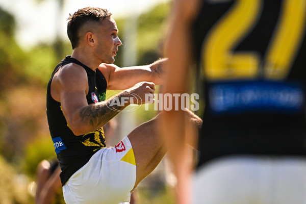 AFL 2025 Match Simulation - West Coast v Richmond - A-57492572