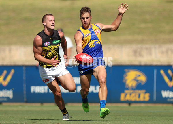 AFL 2025 Match Simulation - West Coast v Richmond - A-57492591