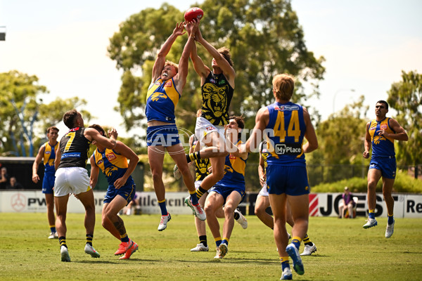 AFL 2025 Match Simulation - West Coast v Richmond - A-57492633