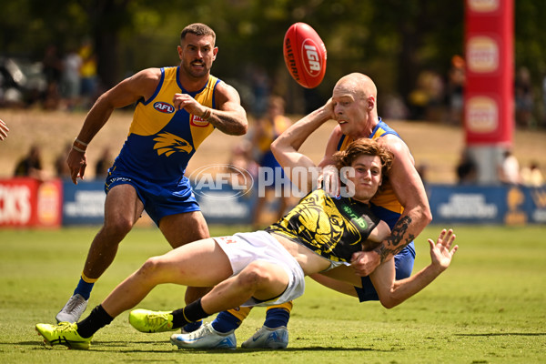 AFL 2025 Match Simulation - West Coast v Richmond - A-57494573