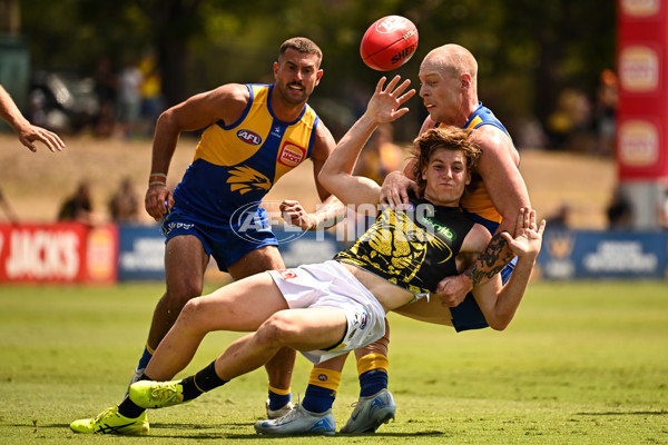 AFL 2025 Match Simulation - West Coast v Richmond - A-57494575