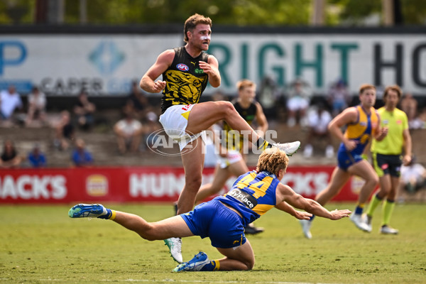 AFL 2025 Match Simulation - West Coast v Richmond - A-57494631