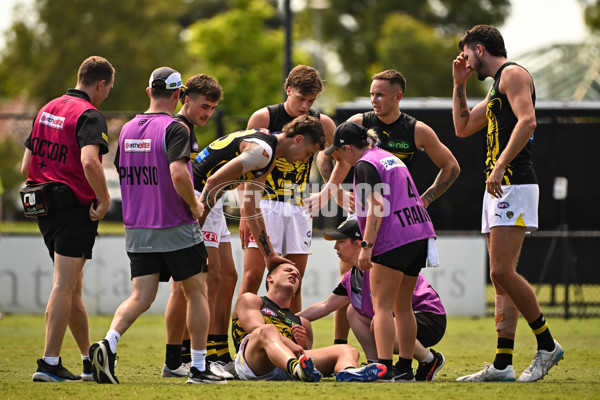 AFL 2025 Match Simulation - West Coast v Richmond - A-57495299