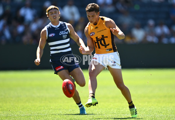 AFL 2025 Match Simulation - Geelong v Hawthorn - A-57496726