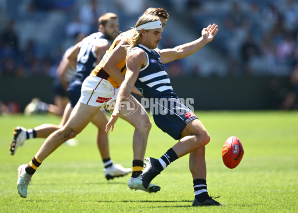 AFL 2025 Match Simulation - Geelong v Hawthorn - A-57497693