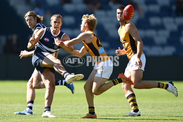 AFL 2025 Match Simulation - Geelong v Hawthorn - A-57497735