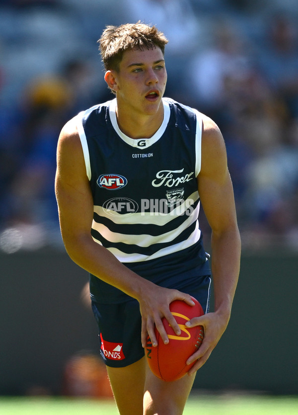 AFL 2025 Match Simulation - Geelong v Hawthorn - A-57497766