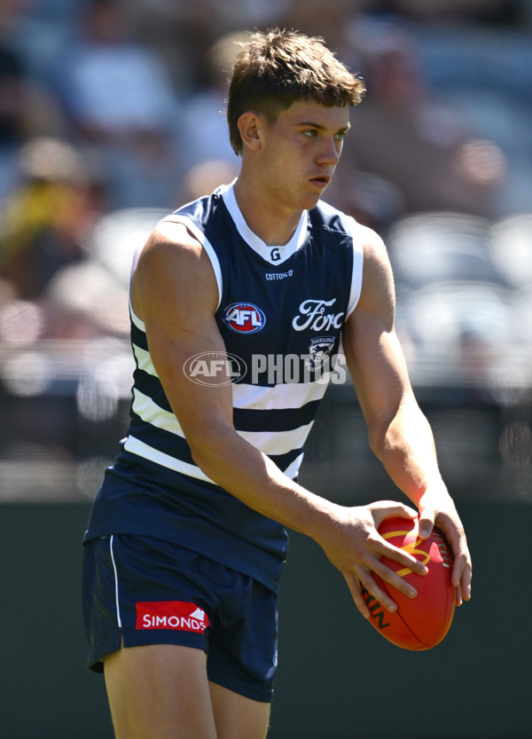 AFL 2025 Match Simulation - Geelong v Hawthorn - A-57500621