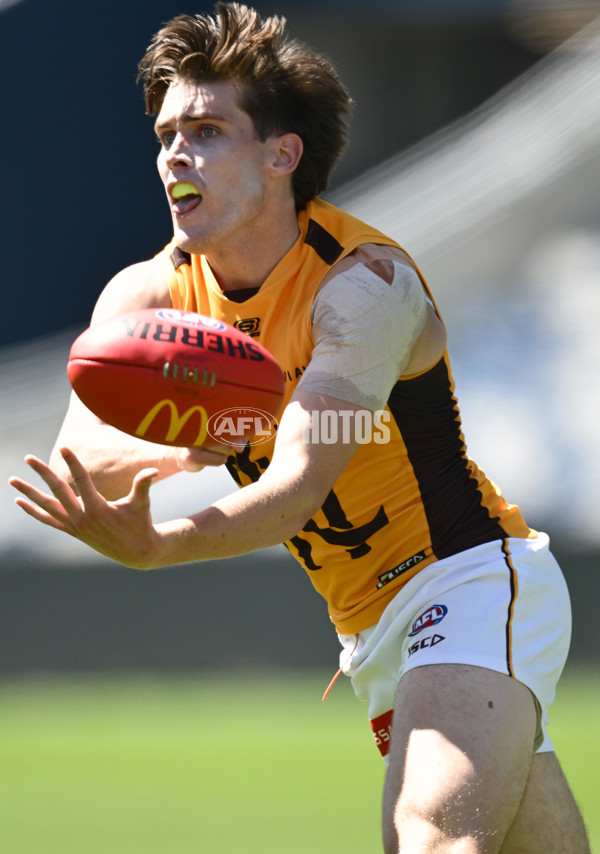 AFL 2025 Match Simulation - Geelong v Hawthorn - A-57500624