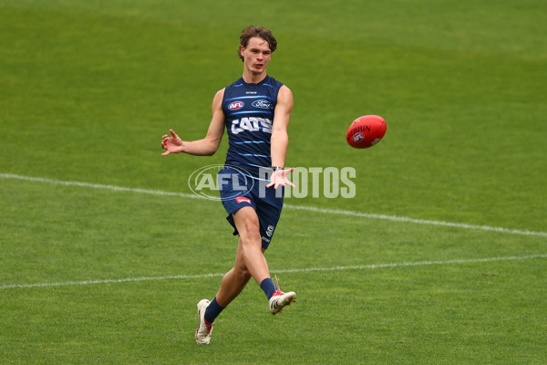 AFL 2025 Training - Geelong 190225 - A-57530856