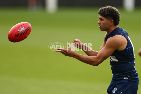 AFL 2025 Training - Geelong 190225 - A-57530865