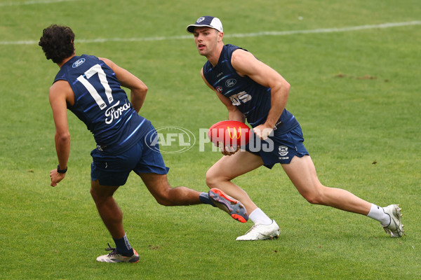 AFL 2025 Training - Geelong 190225 - A-57531353