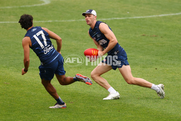 AFL 2025 Training - Geelong 190225 - A-57531357