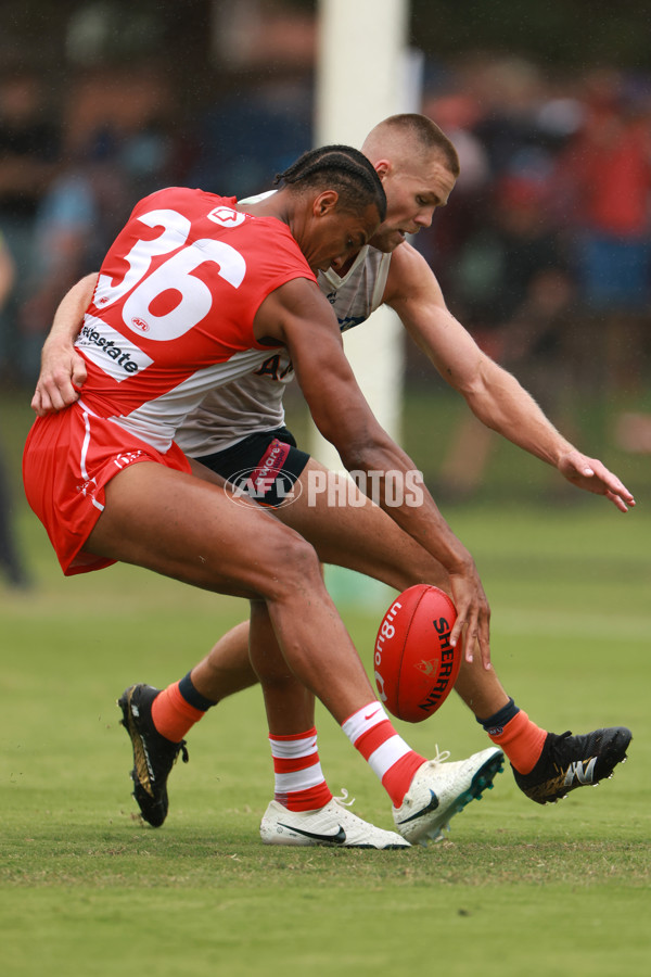 AFL 2025 Match Simulation - Sydney v GWS - A-57548622