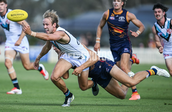 AFL 2025 Match Simulation - Adelaide v Port Adelaide - A-57548634