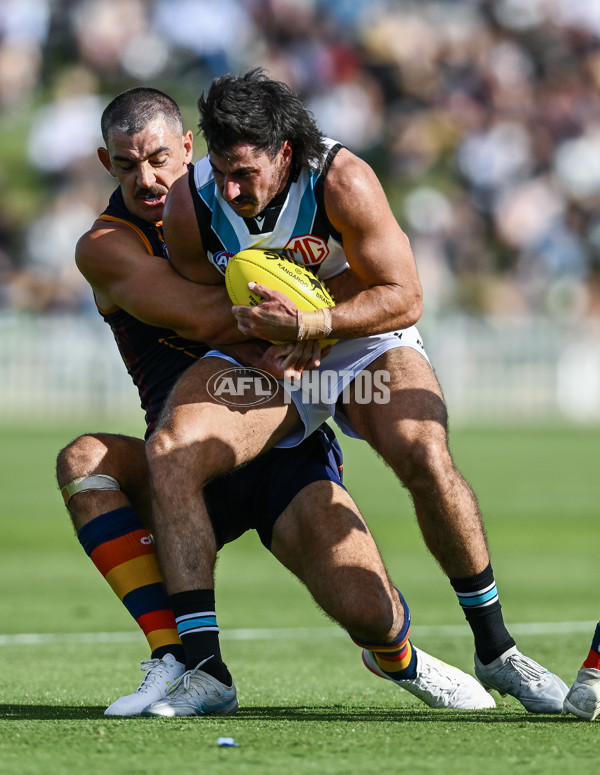 AFL 2025 Match Simulation - Adelaide v Port Adelaide - A-57548642