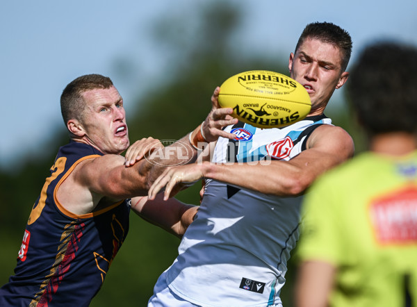 AFL 2025 Match Simulation - Adelaide v Port Adelaide - A-57548666