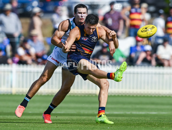 AFL 2025 Match Simulation - Adelaide v Port Adelaide - A-57548676