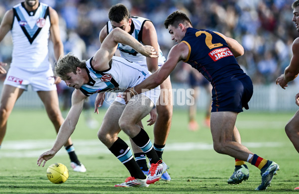 AFL 2025 Match Simulation - Adelaide v Port Adelaide - A-57548677