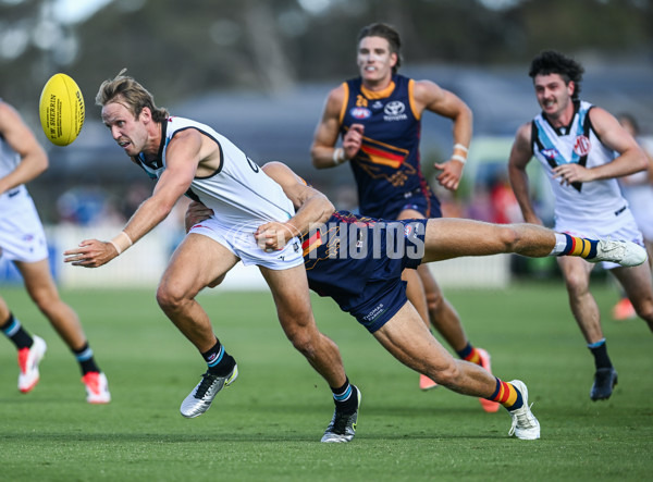 AFL 2025 Match Simulation - Adelaide v Port Adelaide - A-57548686