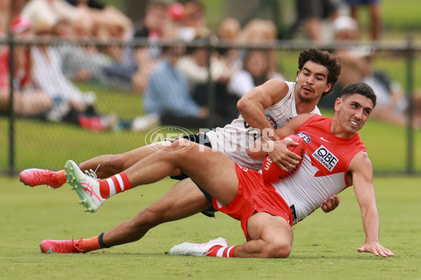 AFL 2025 Match Simulation - Sydney v GWS - A-57548764