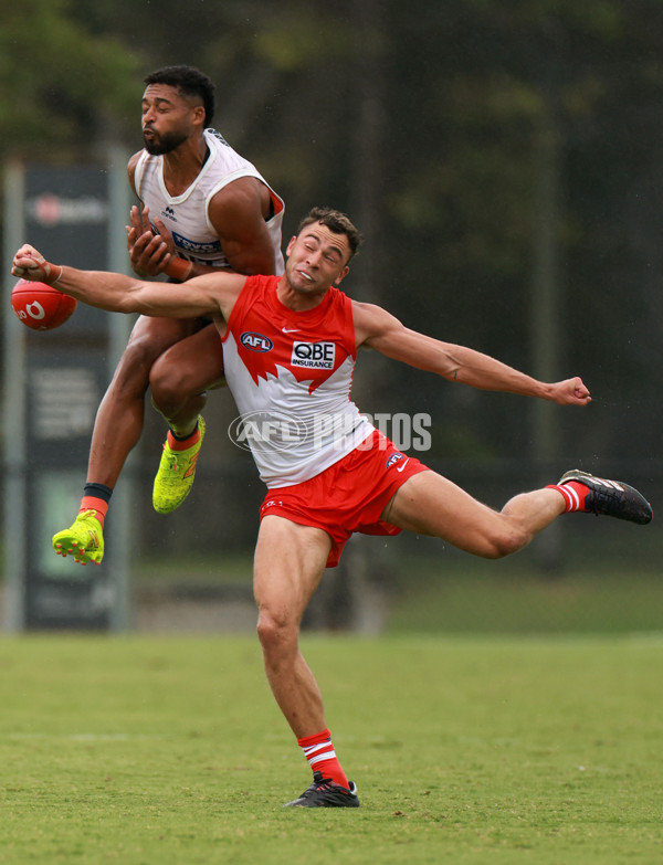 AFL 2025 Match Simulation - Sydney v GWS - A-57550832