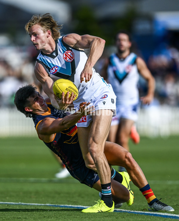 AFL 2025 Match Simulation - Adelaide v Port Adelaide - A-57550851