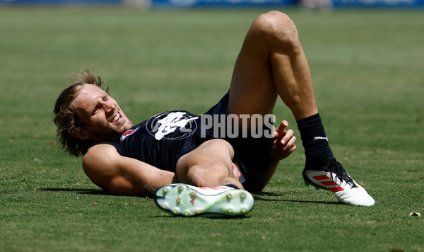 AFL 2025 Match Simulation - Carlton v St Kilda - A-57550859