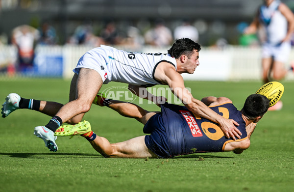 AFL 2025 Match Simulation - Adelaide v Port Adelaide - A-57550860