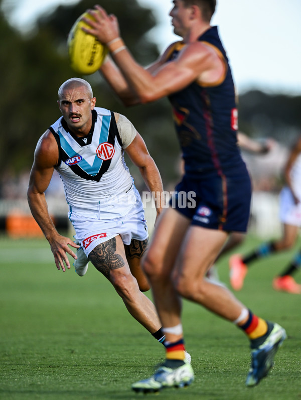 AFL 2025 Match Simulation - Adelaide v Port Adelaide - A-57550866