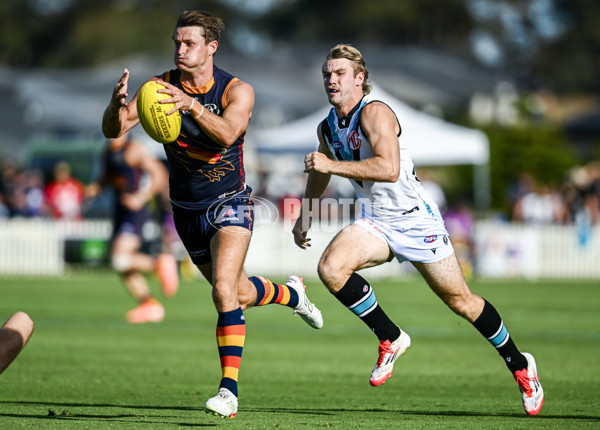 AFL 2025 Match Simulation - Adelaide v Port Adelaide - A-57550870